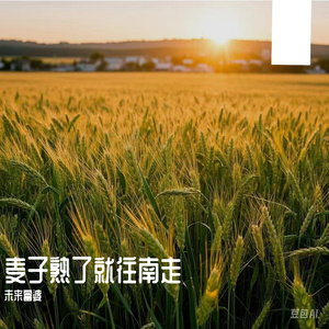 娇小中国vs黑人大洋吊视频
