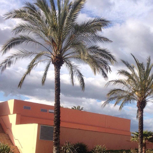 娇小中国vs黑人大洋吊视频
